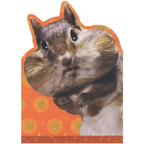 What Pumpkin Pie: Chipmunk with Full Cheeks Die Cut Humorous / Funny Thanksgiving Card