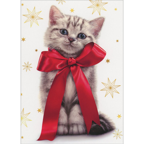 Gray Kitten Wearing Large Red Bow: Gold Snowflakes Cute Cat Box of 10 Christmas Cards