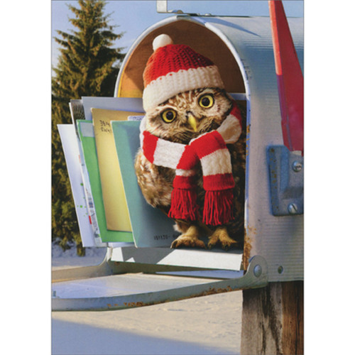 Cute Owl Wearing Red and White Hat and Scarf in Mailbox Cute Pack of 10 Christmas Cards