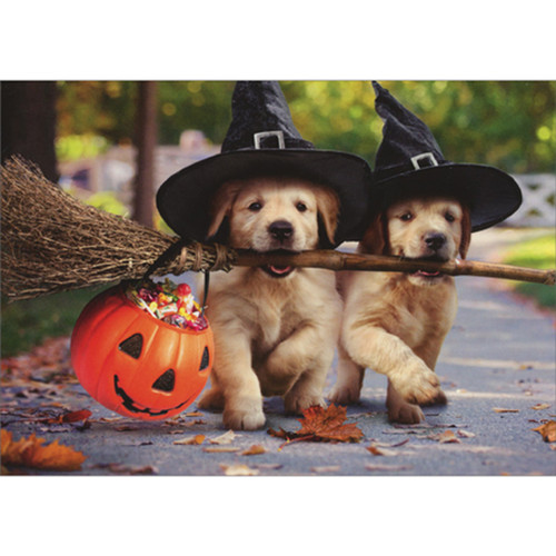 Two Puppies Carrying Broom Stick and Candy Bucket Cute Dog Halloween Card