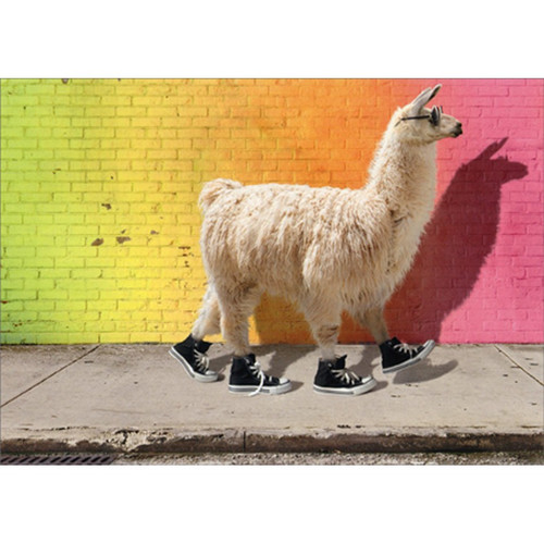 Cool Llama Funny / Humorous Graduation Card