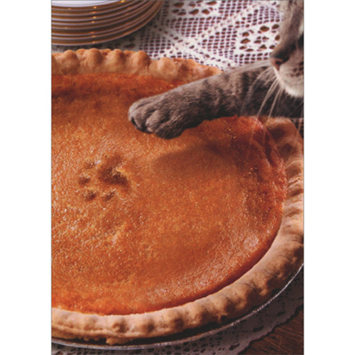 Pumpkin Pie with Cat Paw Print and Outstretched Paw Humorous / Funny Thanksgiving Card
