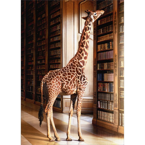 Giraffe At Library Funny / Humorous Graduation Card