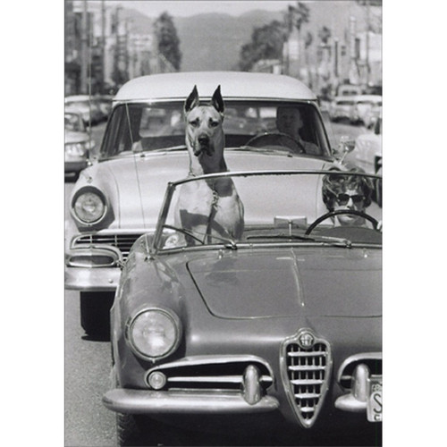 Hollywood Dog In Sports Car America Collection Funny / Humorous Birthday Card