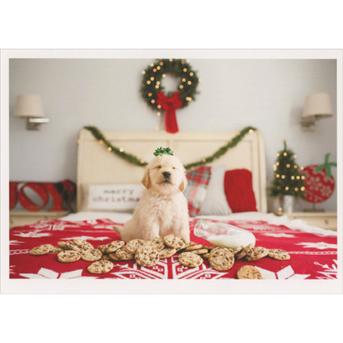 Cute White Puppy, Bottle of Milk and Cookies on Red and White Bedspread Box of 10 Christmas Cards