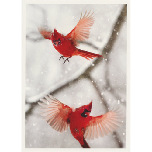 Two Red Cardinals in Flight in Falling Snow Box of 10 Christmas Cards