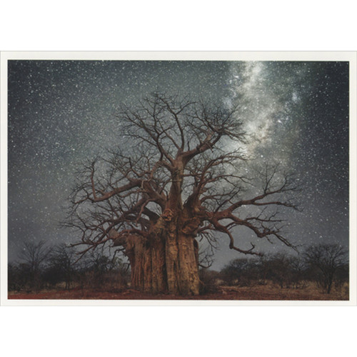 Tree with Wide Trunk and Twisting Branches in Star Filled Night Sky Box of 10 Nature Christmas Cards