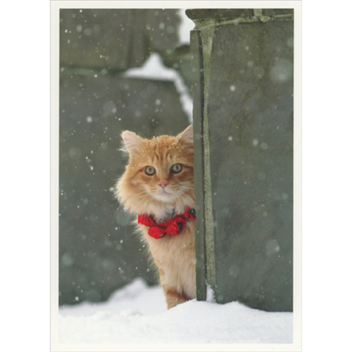 Cat with Red Collar Peeking from Behind Green Brick Wall Christmas Card