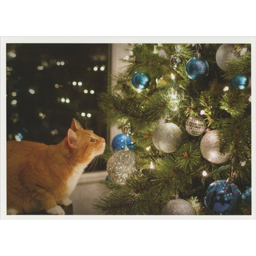 Cat Staring at Shiny Blue and Silver Ornaments on Decorated Tree Christmas Card