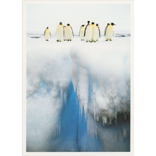 Emperor Penguins on Glacier in Bright Blue Water Wildlife Christmas Card