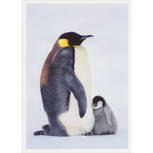 Emperor Penguin with Gray and White Baby Snuggling at Belly Wildlife Christmas Card