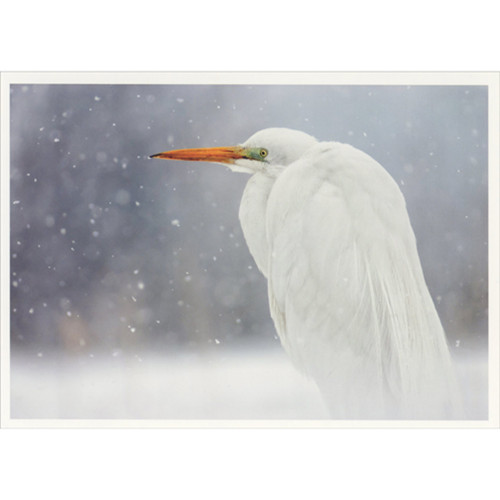 Stationary Great Egret in Falling Snowflakes Wildlife Christmas Card