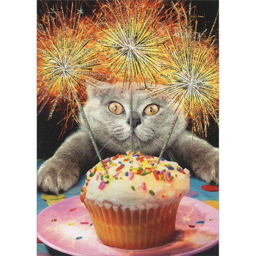 Cat With Sparkler Cake Funny / Humorous Birthday Card