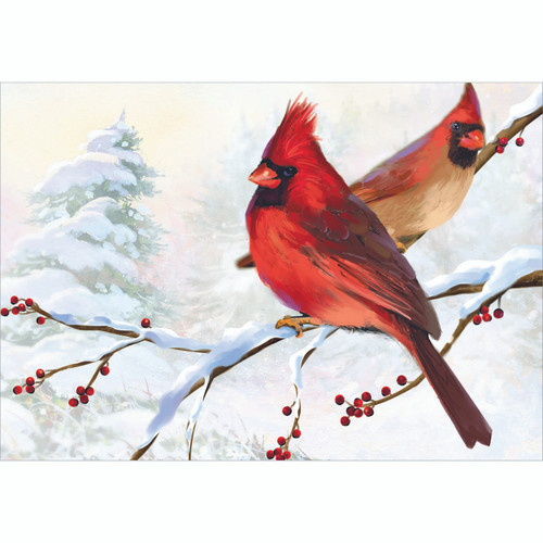Two Cardinals on Snow Covered Branch Box of 15 Christmas Cards