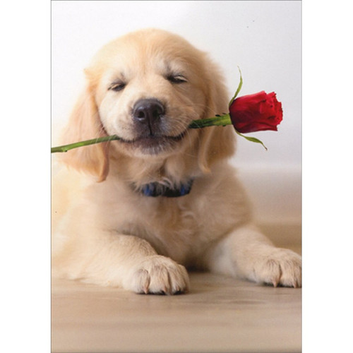 Golden Puppy With Rose Cute Dog Valentine's Day Card