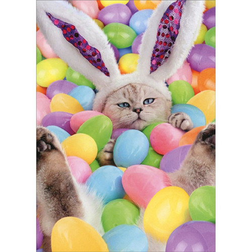 Bunny Cat in Pool of Easter Eggs Humorous : Funny Easter Card