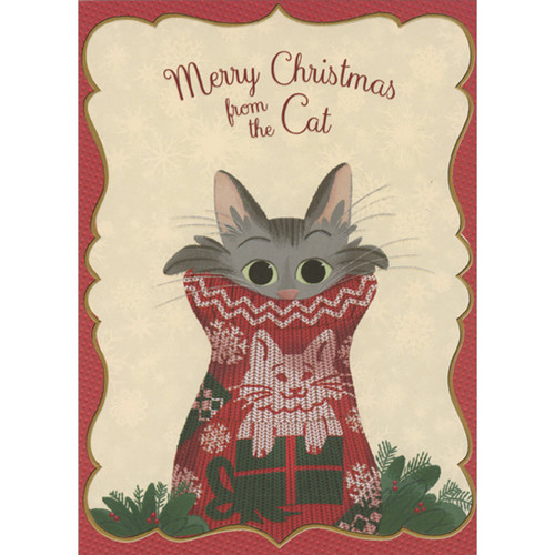 Gray Cat's Face Peeking Out of Kitty Holiday Sweater Christmas Card from the Cat: Merry Christmas from the Cat