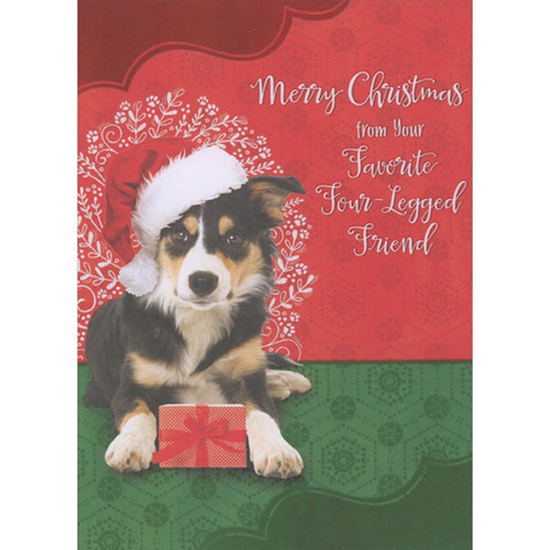 Favorite Four Legged Friend: Dog with Santa Hat and Polka Dot Gift Christmas Card from the Dog: Merry Christmas from Your Favorite Four-Legged Friend