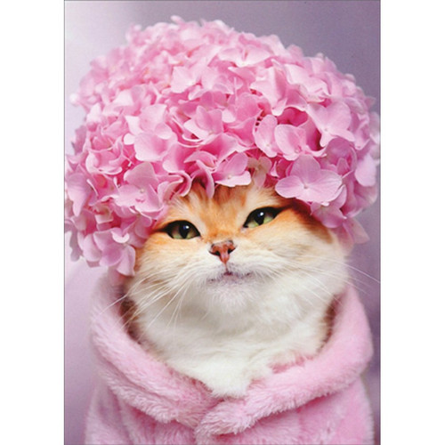 Kitty Cat with Pink Hydrangea Cap Mother's Day Card