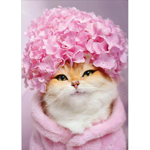 Kitty Cat : Pink Hydrangea Cap Feminine Humorous : Funny Birthday Card for Woman : Her