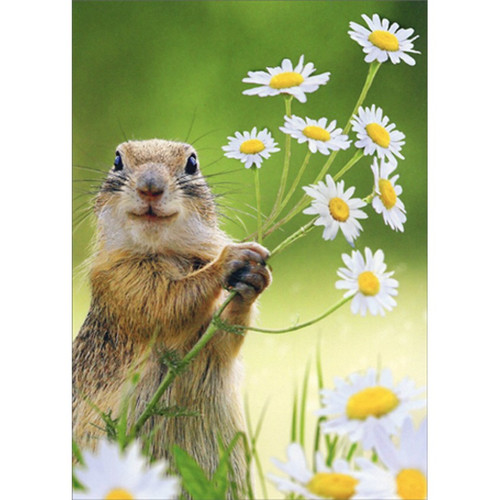 Groundhog Holding Daisies Cute Thank You Card