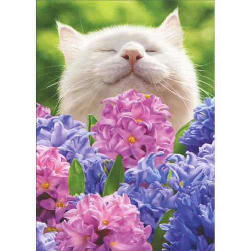 Cat Smelling Pink and Blue Hyacinths Blank Note Card