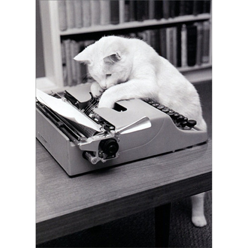 Typewriter Cat Humorous : Funny Birthday Card