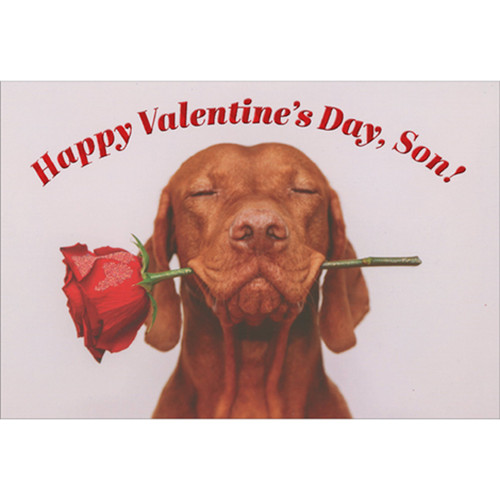 Brown Dog with Closed Eyes Holding Rose in Mouth Valentine's Day Card for Son: Happy Valentine's Day, Son!