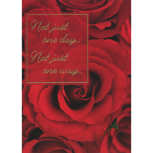 Red Rose Close Up Photo: Not Just One Day Romantic Valentine's Day Card: Not just one day… Not just one way…