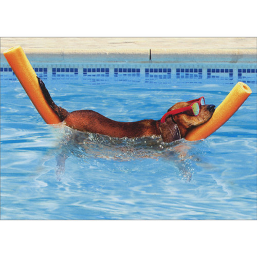 Brown Dog Floating in Pool on Orange Noodle Funny Retirement Congratulations Card