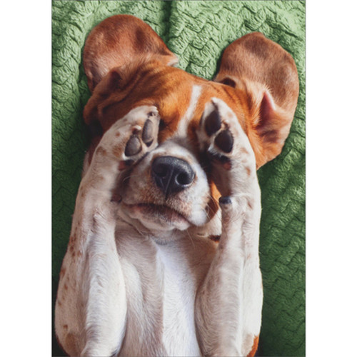 Brown and White Dog Covering Eyes with Paws on Green Blanket Goodbye Card