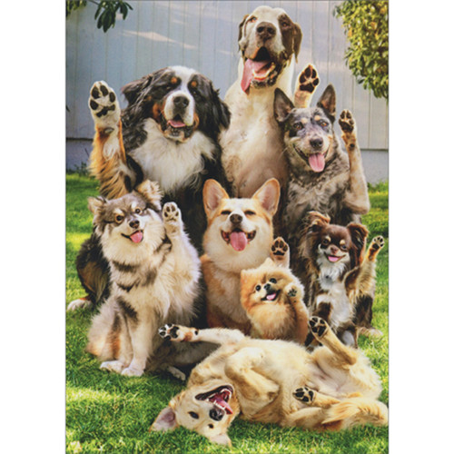 Group of Smiling Dogs with Raised Paws Funny / Cute Birthday Card