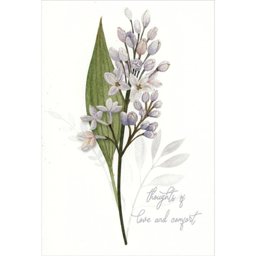 Thoughts of Love and Comfort: Small White Flowers and Single Green Leave Sympathy Card: Thoughts of love & comfort