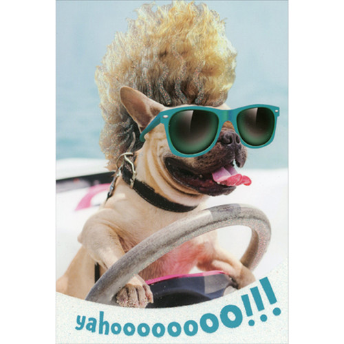 Pug with Curly Blonde Mohawk and Sunglasses Driving Car Funny / Humorous Birthday Card: Yahoooooooo!!!