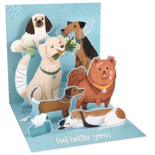 Get Well Dogs: White, Brown and Tan Dogs with Gauze Wraps and Bandages 5-Inch 3D Pop-Up Get Well Card