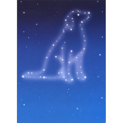 Dog Sympathy Stars Pet Sympathy Card