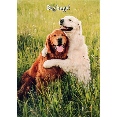 Golden Retrievers Hugging Cute Dogs Birthday Card: Big hugs!