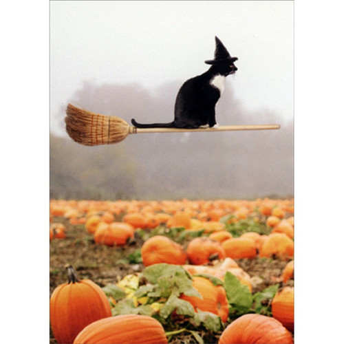 Black Cat Riding Broom Humorous / Funny Halloween Card