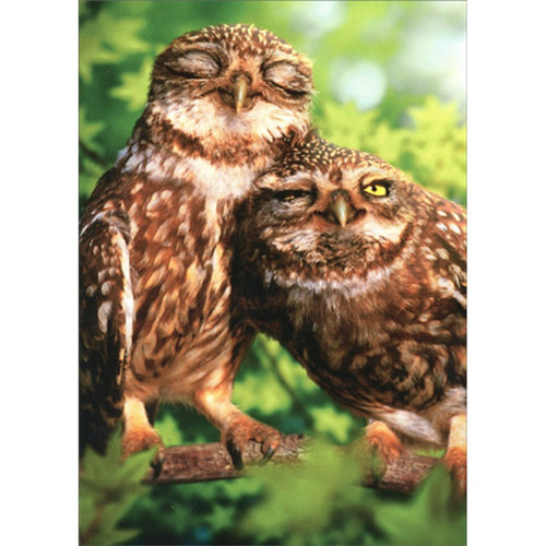 Snuggling Owls Romantic Love Valentine's Day Card