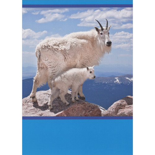 Two Goats on Cliff Ledge Photo with Bright Blue Borders Funny / Humorous Father's Day Card for Dad