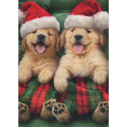 Puppies in Santa Hats Under Red and Green Blanket Pack of 10 Christmas Cards