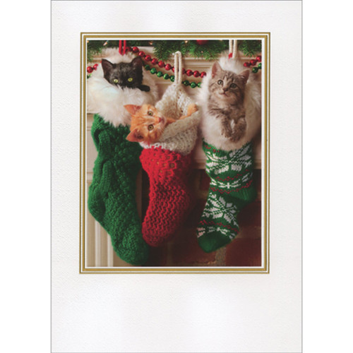 Kittens In Christmas Stockings Inside Gold Lined White Frame Embellished Christmas Card