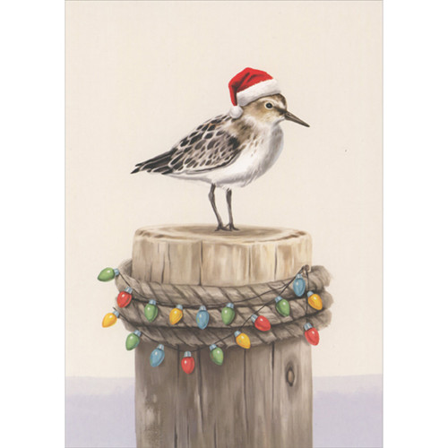 Brown and White Sandpiper Perched on Decorated Wooden Dock Post Box of 16 Coastal Christmas Cards