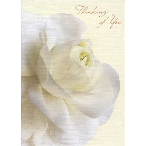 White Ranunculus Flower on Pale Yellow Background Sympathy Card: Thinking of You