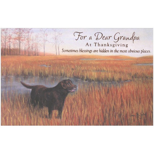 Dog in Field Thanksgiving Card for Grandpa: For a Dear Grandpa at Thanksgiving -- Sometimes blessings are hidden in the most obvious places