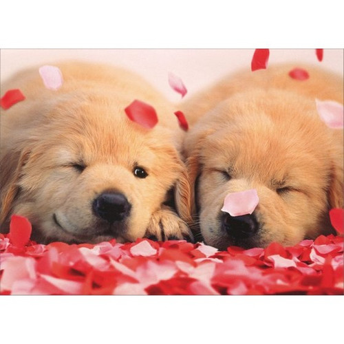 2 Puppies with Rose Petals Golden Labrador Retriever Valentine's Day Card
