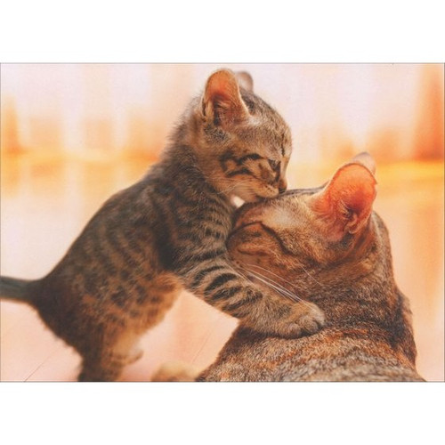 Kitten Hugs Cat Mother's Day Card