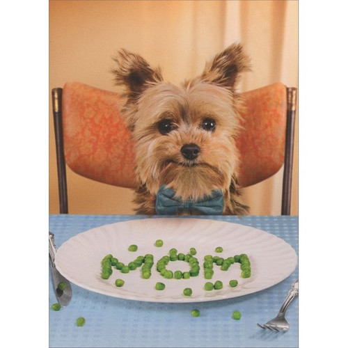 Dog Spells Mom With Peas Funny / Humorous Mother's Day Card