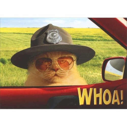 Trooper Cat Stand Out Pop-Up Birthday Card: Whoa!