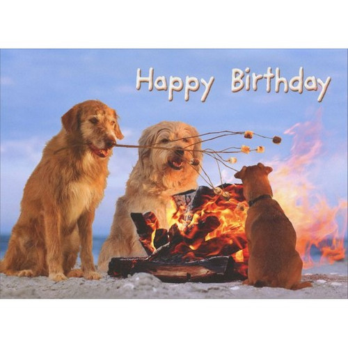 S'More Dogs Stand Out Pop-Up Birthday Card: Happy Birthday
